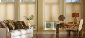 Duette® Honeycomb Shades